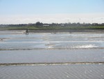Noirmoutier_week_end_fin_mars_07_et_dessins_sable_st_j