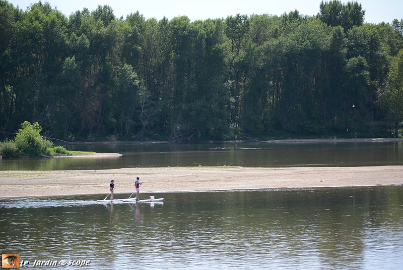 Pratique-du-paddle