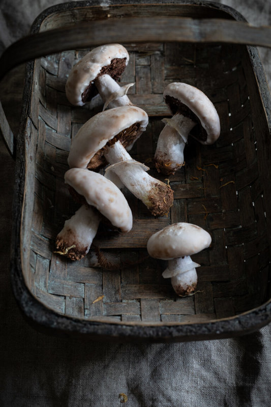 recipe_mushroom_gingerbread_basket