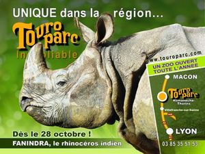 Rhinocéros Touroparc