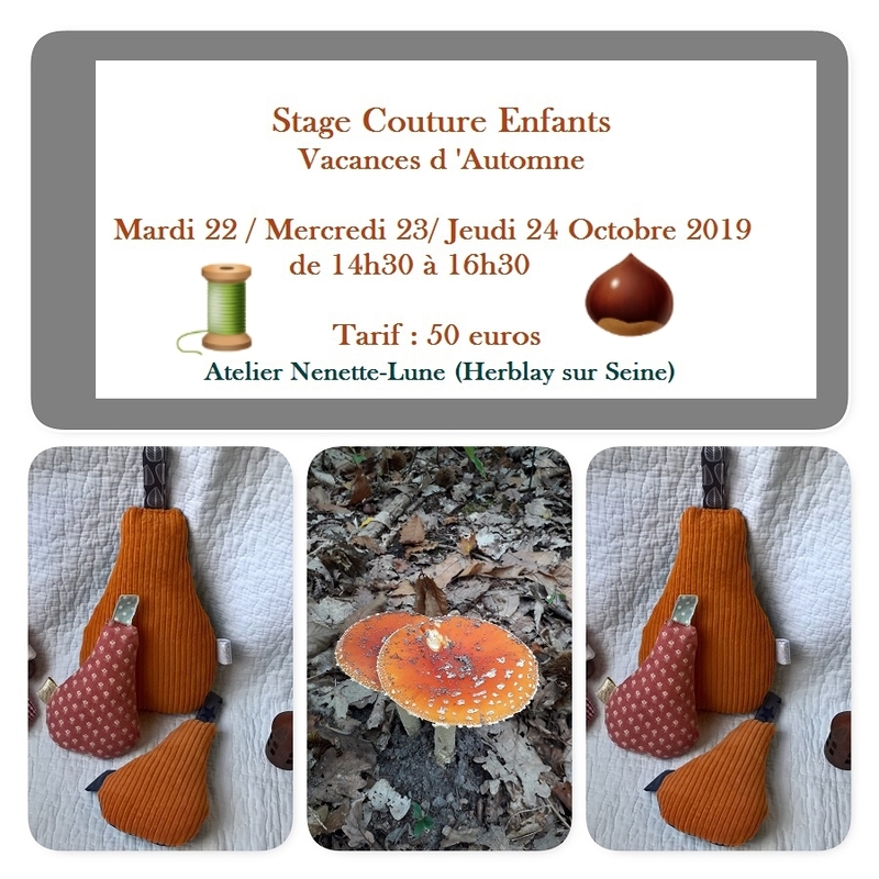 stage automne 19