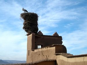 Ouarzazate_4