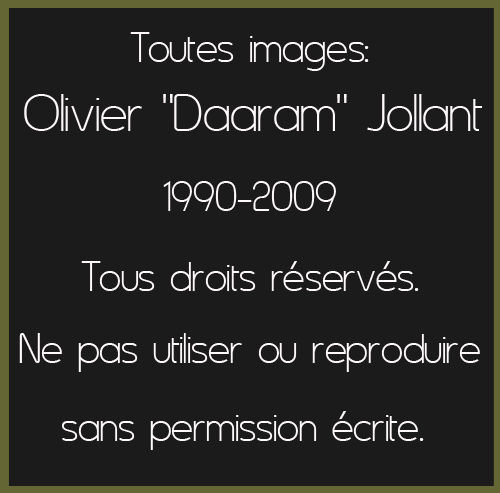 Copyright_Olivier Daaram