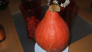 Potimarron