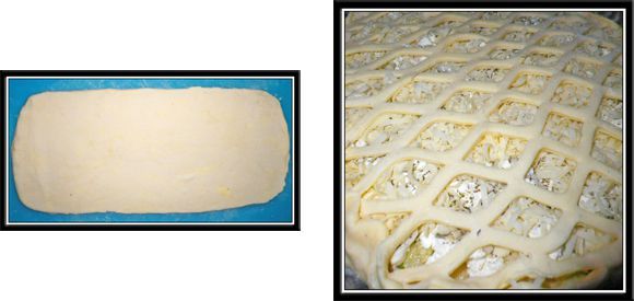 patefeuill002