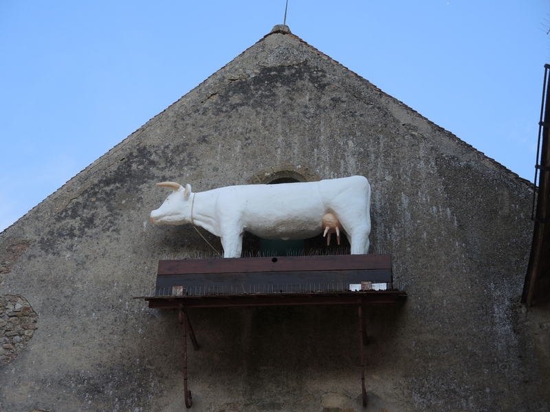 Saint-Saulge, vache sur église