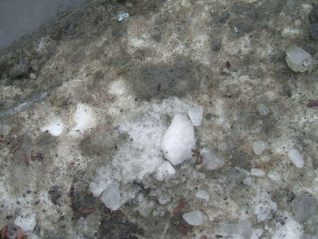 DSCF4748