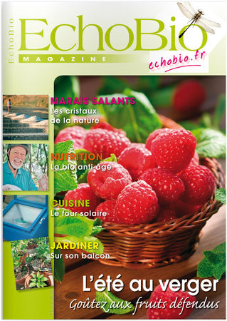 Revue de… presse/blog n°1 Revue de… presse/blog n°1