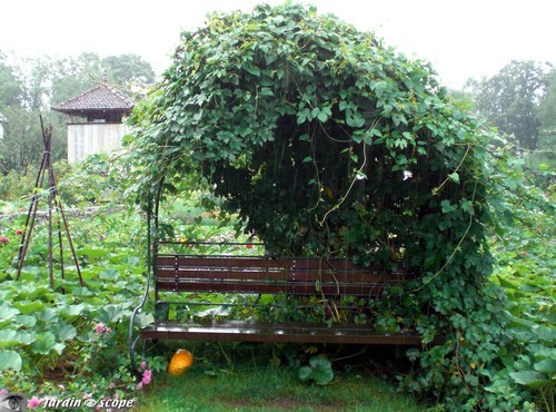 Banc en bois sous pergola à Wesserling (68)