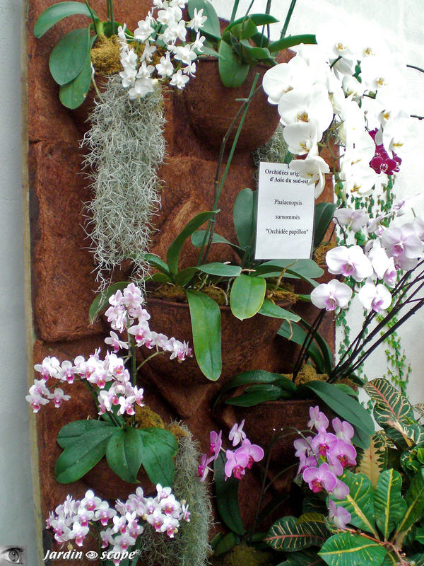 Composition murale sur panneaux de fibres de noix de coco