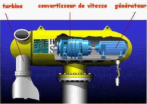 hydraulienne