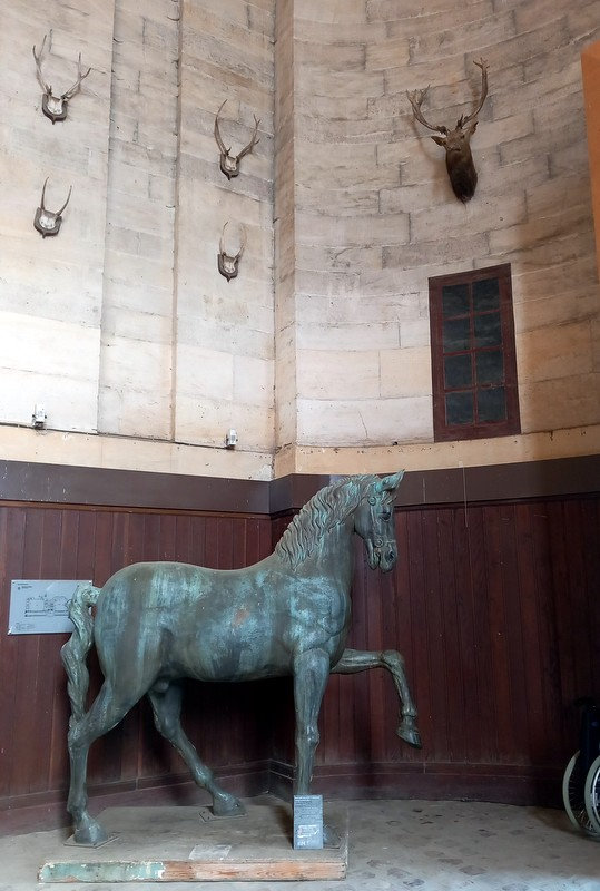 musee du cheval et fete de la rose chantilly 029