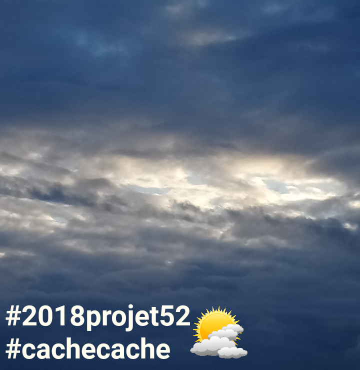 14 projet52 2018 - Cache-cache