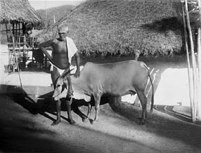 bhagavan06