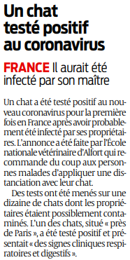 2020 05 03 SO Un chat testé positif au coronavirus