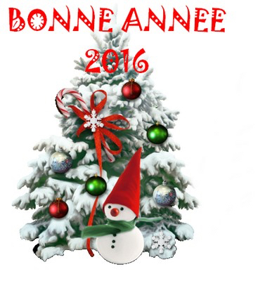 bonne-ann-e-2016