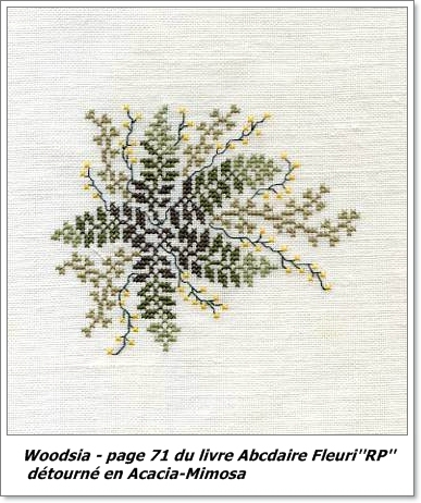 Woodsia-Acacia-Mimosa