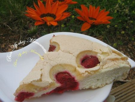 Gâteau aux blancs d'oeufs de mes poules et aux fraises du jardin 016