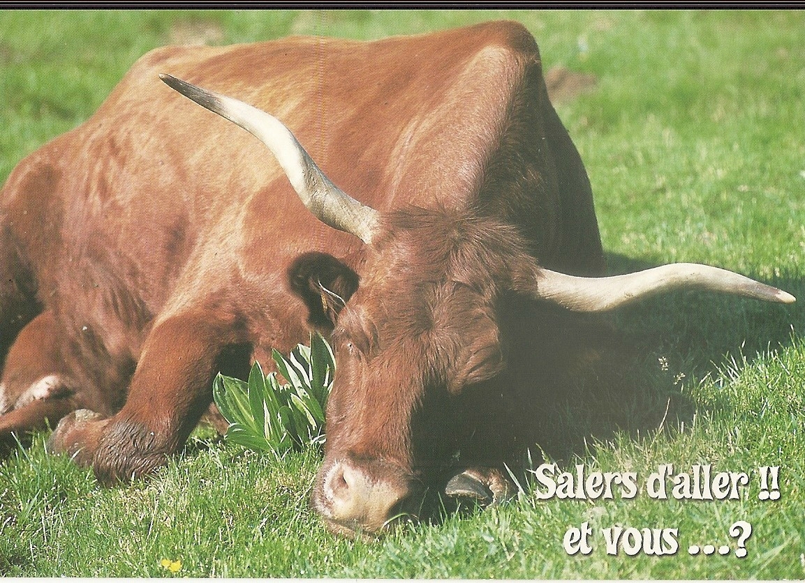 Salers, carte postale
