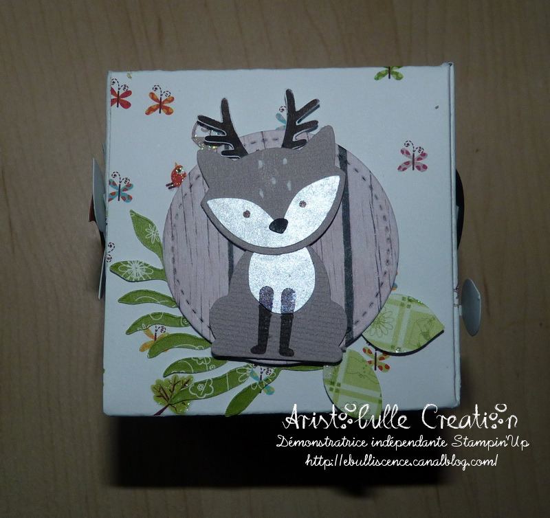 Carte cube pop up Foxy friends - face daim