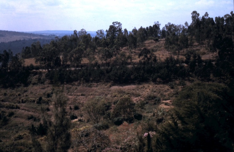 rwanda 26