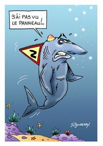 REQUIN panneau