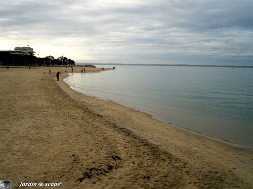 La plage depuis la Jetée Thiers (31/12/2007)