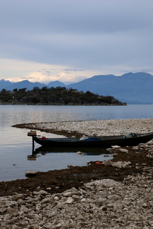 4W7A3867-Lac-Skadar-MuriciR