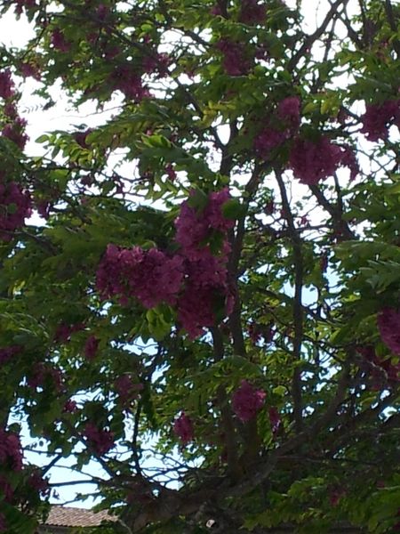 20130512_160941