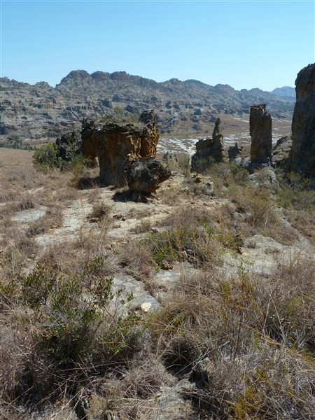P1050281