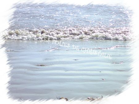 Plage Barbâtre 2012 024