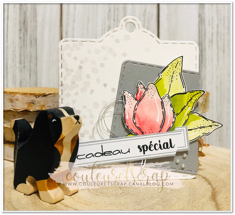 Couleuretscrap_carte_anniversaire_Little_sketch_étiquette_cadeau