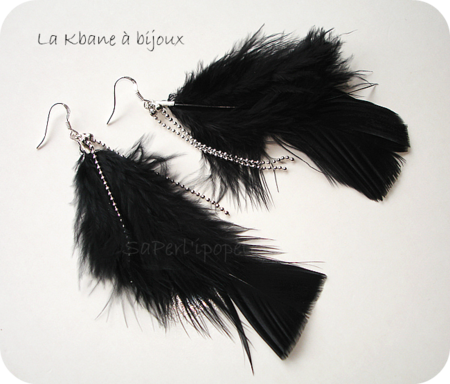 bo plumes noires2