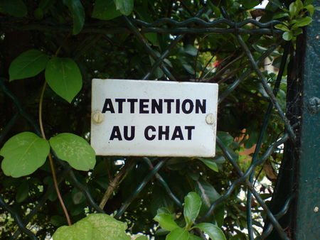 AttentionAuChat