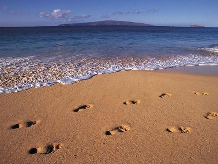 Pas_dans_le_sable