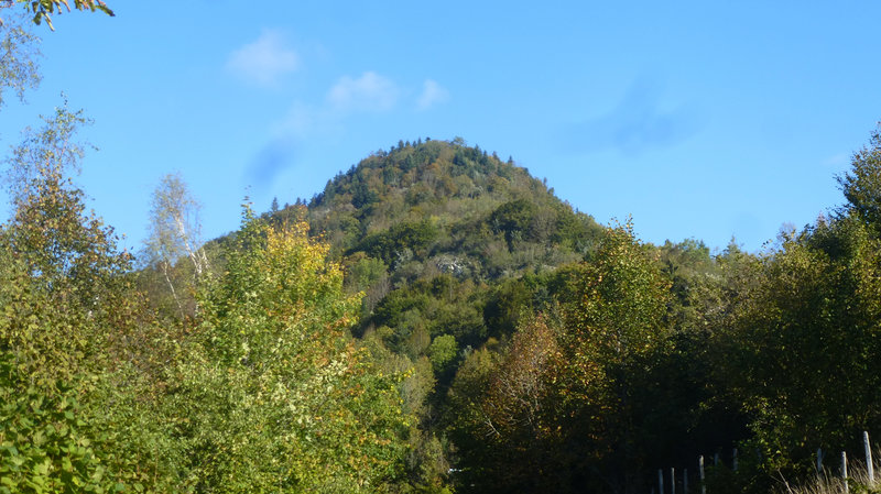 P1060310