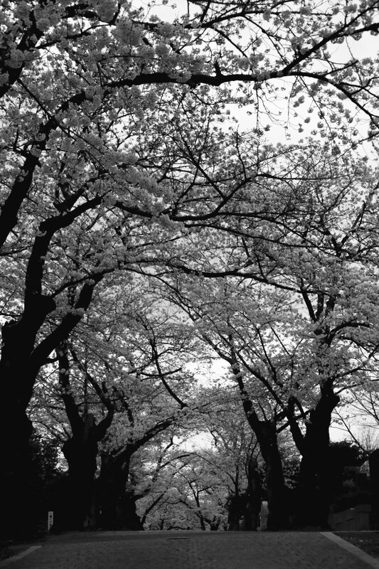 4W7A4858cor