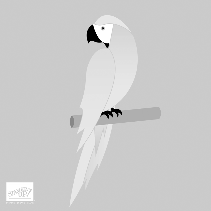 MKTL_SHR_BW_PARAKEET_PARTY_0322_AC_INCOLOR