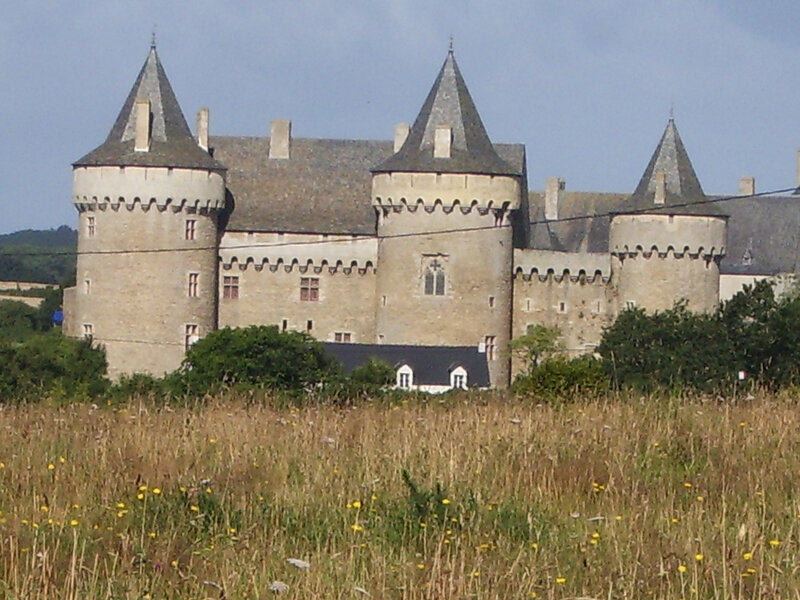 Château de Suscinio5