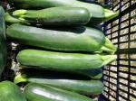 courgettes