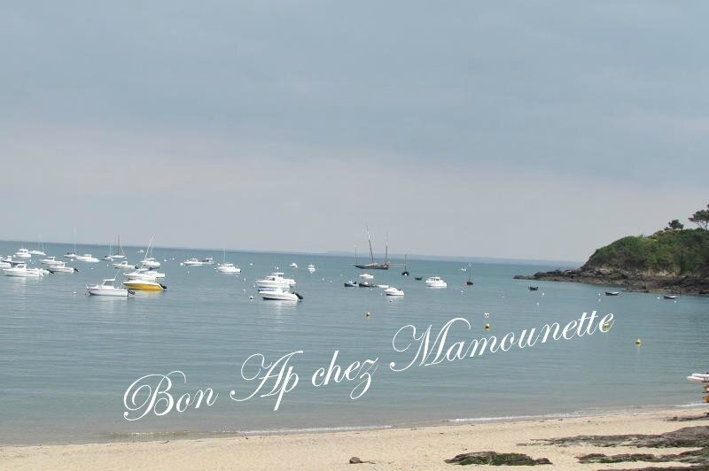 Bateaux en corps morts