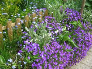 Fleurs du jardin mai 2013