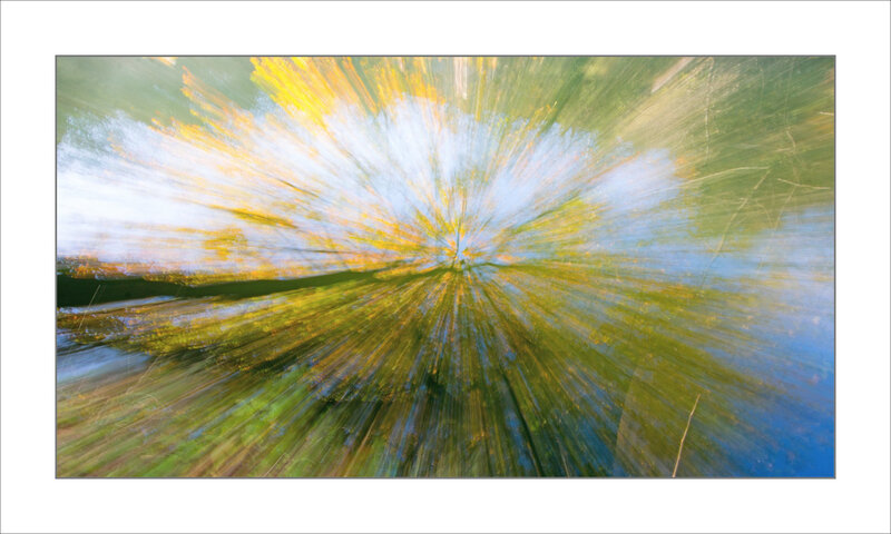 Nature effet zoom 1 201120