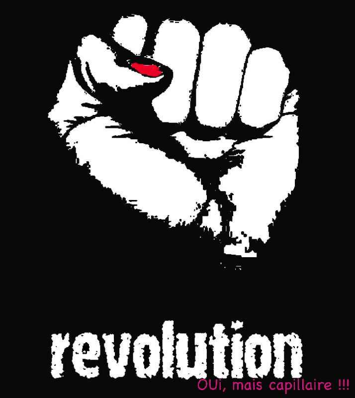 revolution_capillaire_2