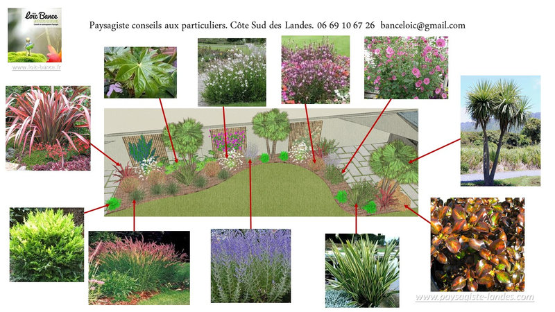 Paysagiste-Saubion-Paysagiste-Landes-quoi-planter_dans-les-Landes