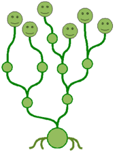 hydre1