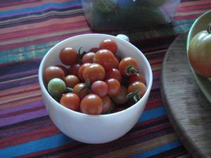 tomates 1