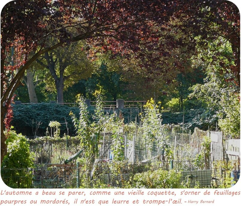 Quartier Drouot - Jardin d'automne