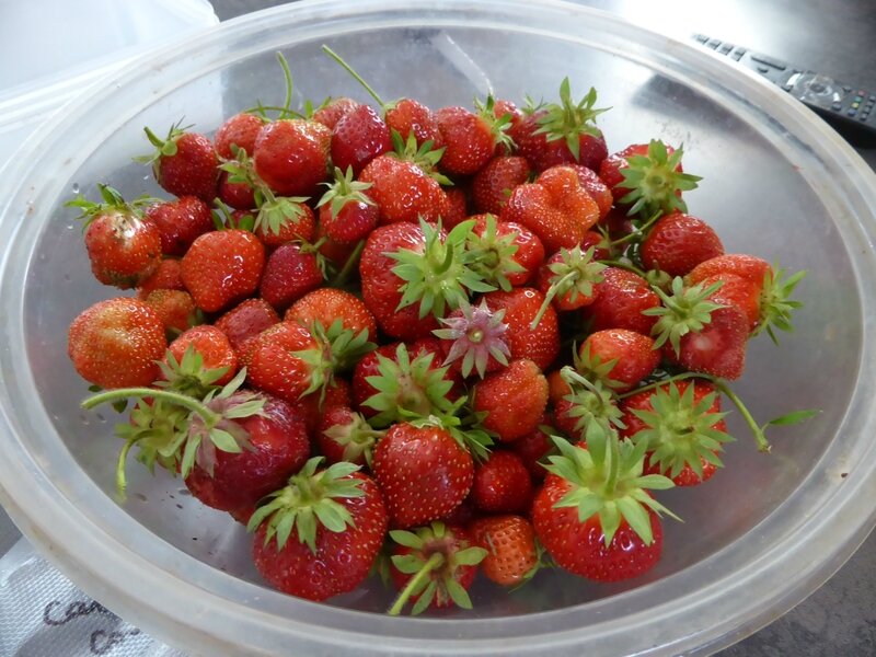 5-fraises