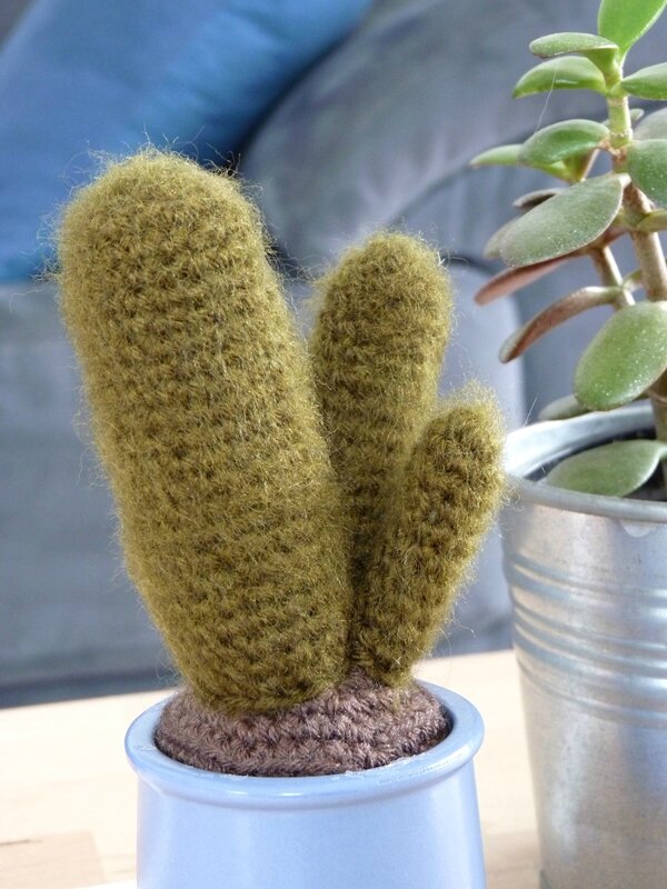 DIY patron cactus poilu crochet